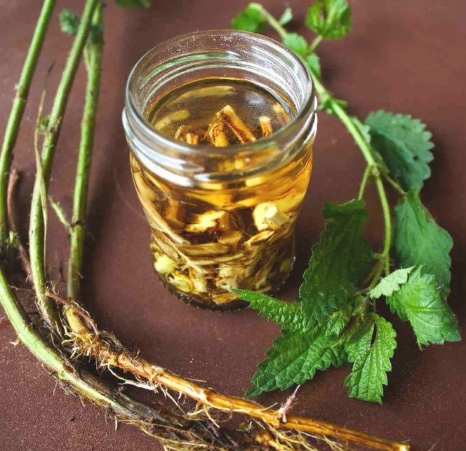 Nettle Root Extract